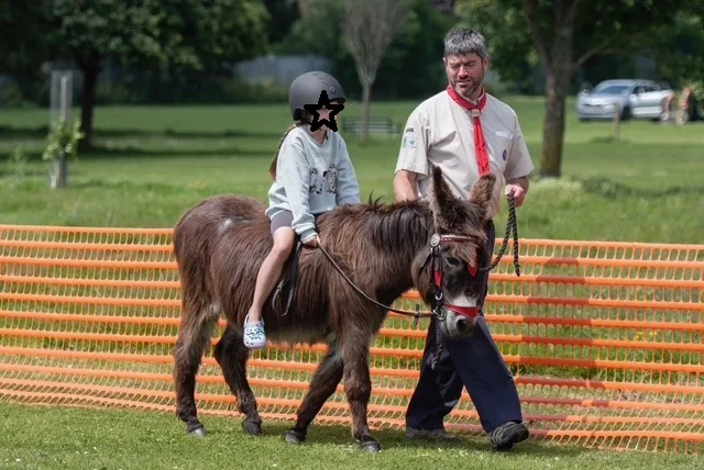 Lions Fun Day 2024