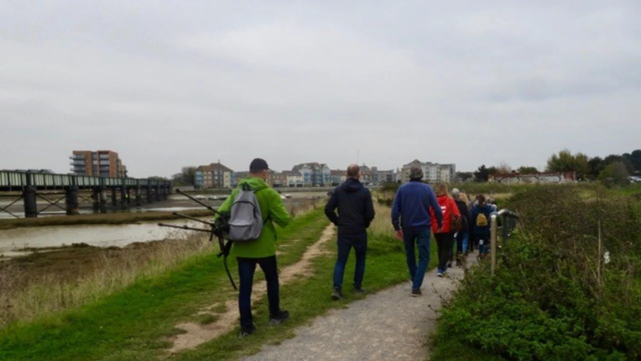 Birdlife exhibition at the festival
